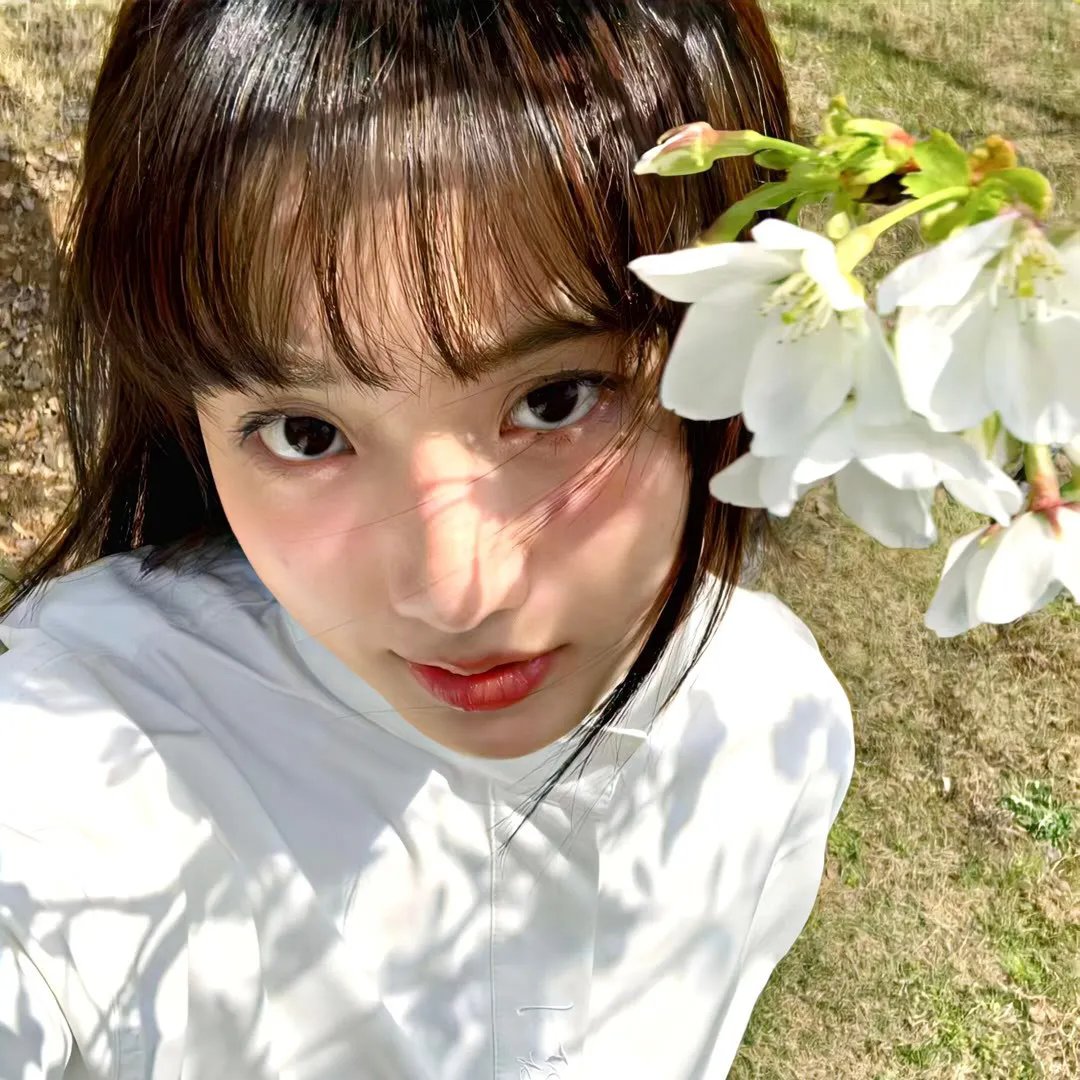 七十二家房客第二部粤语